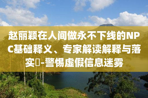 趙麗穎在人間做永不下線的NPC基礎釋義、專家解讀解釋與落實?-警惕虛假信息迷霧