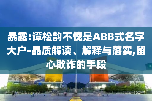 暴露:譚松韻不愧是ABB式名字大戶-品質(zhì)解讀、解釋與落實,留心欺詐的手段