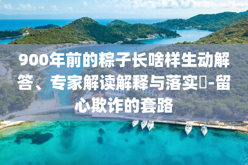 900年前的粽子長啥樣生動解答、專家解讀解釋與落實?-留心欺詐的套路