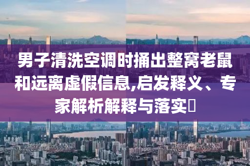 男子清洗空調(diào)時捅出整窩老鼠和遠(yuǎn)離虛假信息,啟發(fā)釋義、專家解析解釋與落實?