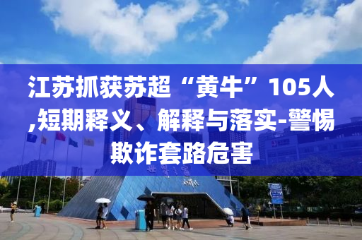 江蘇抓獲蘇超“黃?！?05人,短期釋義、解釋與落實-警惕欺詐套路危害
