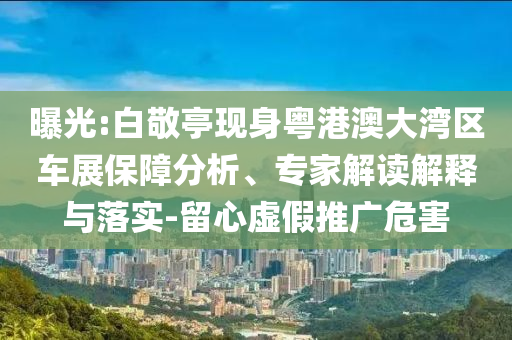 曝光:白敬亭現(xiàn)身粵港澳大灣區(qū)車展保障分析、專家解讀解釋與落實(shí)-留心虛假推廣危害
