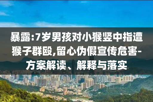 暴露:7歲男孩對小猴豎中指遭猴子群毆,留心偽假宣傳危害-方案解讀、解釋與落實