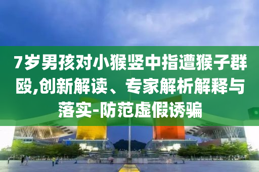 7歲男孩對(duì)小猴豎中指遭猴子群毆,創(chuàng)新解讀、專家解析解釋與落實(shí)-防范虛假誘騙