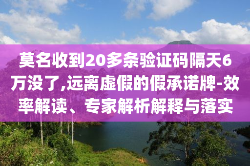 莫名收到20多條驗(yàn)證碼隔天6萬沒了,遠(yuǎn)離虛假的假承諾牌-效率解讀、專家解析解釋與落實(shí)