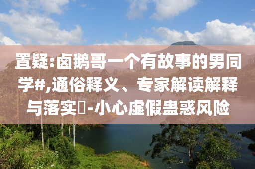 置疑:鹵鵝哥一個有故事的男同學#,通俗釋義、專家解讀解釋與落實?-小心虛假蠱惑風險