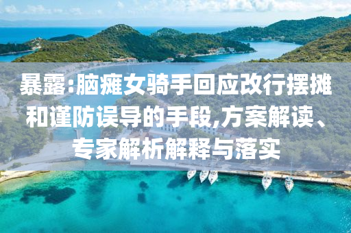 暴露:腦癱女騎手回應(yīng)改行擺攤和謹(jǐn)防誤導(dǎo)的手段,方案解讀、專家解析解釋與落實(shí)