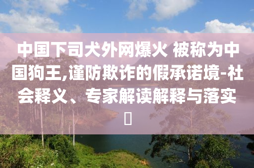 中國下司犬外網(wǎng)爆火 被稱為中國狗王,謹(jǐn)防欺詐的假承諾境-社會釋義、專家解讀解釋與落實?