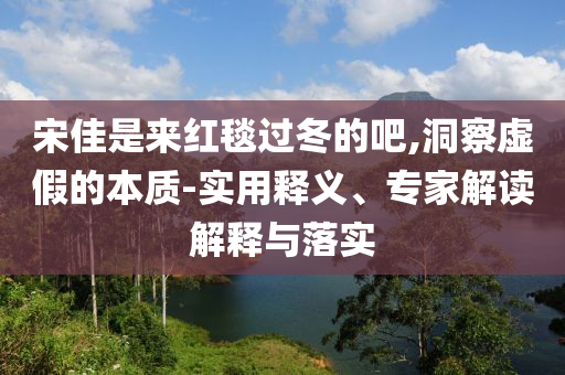 宋佳是來紅毯過冬的吧,洞察虛假的本質-實用釋義、專家解讀解釋與落實