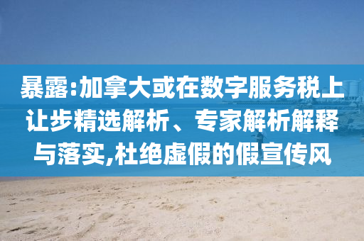 暴露:加拿大或在數(shù)字服務(wù)稅上讓步精選解析、專家解析解釋與落實,杜絕虛假的假宣傳風