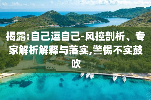 揭露:自己逗自己-風控剖析、專家解析解釋與落實,警惕不實鼓吹