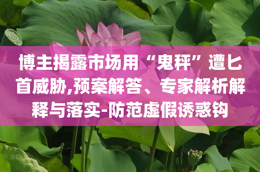 博主揭露市場用“鬼秤”遭匕首威脅,預(yù)案解答、專家解析解釋與落實-防范虛假誘惑鉤