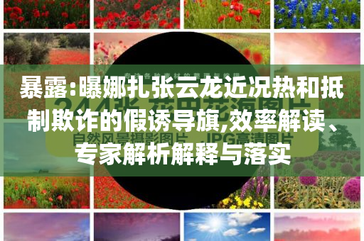 暴露:曝娜扎張?jiān)讫埥鼪r熱和抵制欺詐的假誘導(dǎo)旗,效率解讀、專家解析解釋與落實(shí)