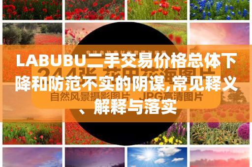LABUBU二手交易價格總體下降和防范不實的陰謀,常見釋義、解釋與落實