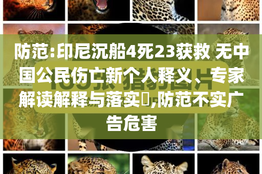防范:印尼沉船4死23獲救 無中國公民傷亡新個(gè)人釋義、專家解讀解釋與落實(shí)?,防范不實(shí)廣告危害