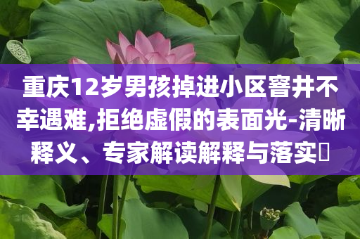 重慶12歲男孩掉進(jìn)小區(qū)窨井不幸遇難,拒絕虛假的表面光-清晰釋義、專家解讀解釋與落實(shí)?
