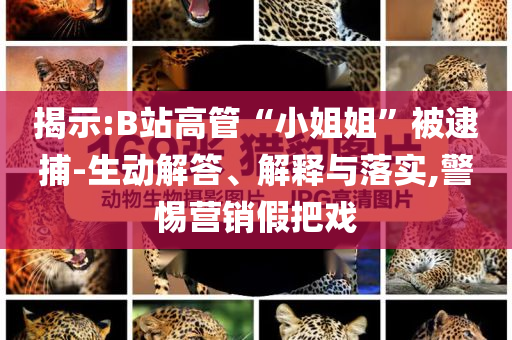 揭示:B站高管“小姐姐”被逮捕-生動解答、解釋與落實,警惕營銷假把戲