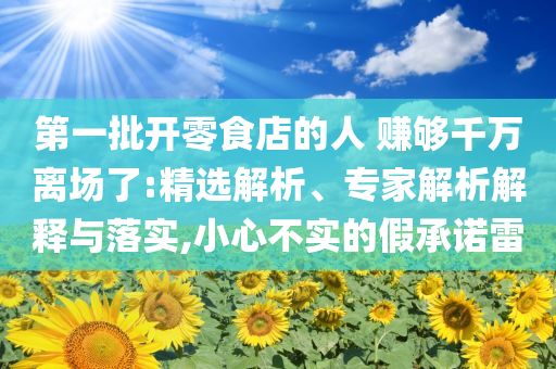 第一批開零食店的人 賺夠千萬離場了:精選解析、專家解析解釋與落實(shí),小心不實(shí)的假承諾雷