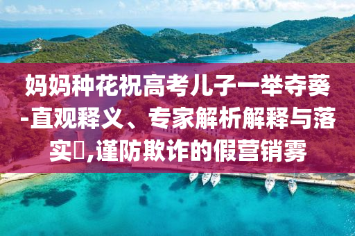 媽媽種花祝高考兒子一舉奪葵-直觀釋義、專家解析解釋與落實(shí)?,謹(jǐn)防欺詐的假營(yíng)銷霧