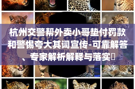 杭州交警幫外賣小哥墊付罰款和警惕夸大其詞宣傳-可靠解答、專家解析解釋與落實(shí)?
