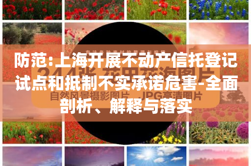 防范:上海開展不動產(chǎn)信托登記試點和抵制不實承諾危害-全面剖析、解釋與落實