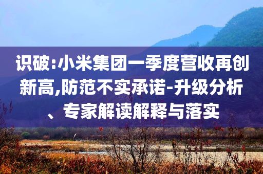 識破:小米集團一季度營收再創(chuàng)新高,防范不實承諾-升級分析、專家解讀解釋與落實