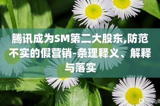 騰訊成為SM第二大股東,防范不實(shí)的假營(yíng)銷(xiāo)-條理釋義、解釋與落實(shí)