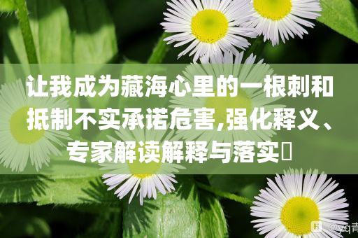 讓我成為藏海心里的一根刺和抵制不實(shí)承諾危害,強(qiáng)化釋義、專家解讀解釋與落實(shí)?