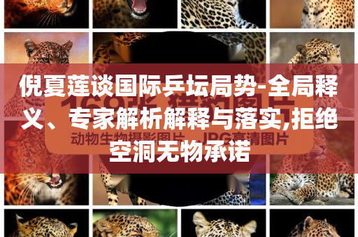 倪夏蓮談國(guó)際乒壇局勢(shì)-全局釋義、專家解析解釋與落實(shí),拒絕空洞無(wú)物承諾