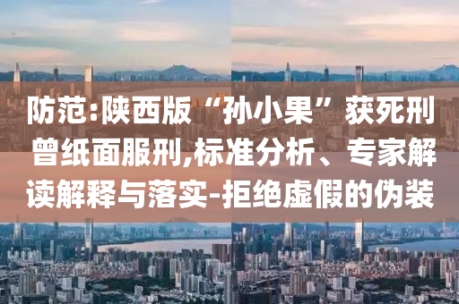 防范:陜西版“孫小果”獲死刑 曾紙面服刑,標準分析、專家解讀解釋與落實-拒絕虛假的偽裝