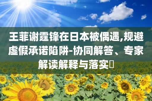 王菲謝霆鋒在日本被偶遇,規(guī)避虛假承諾陷阱-協(xié)同解答、專(zhuān)家解讀解釋與落實(shí)?