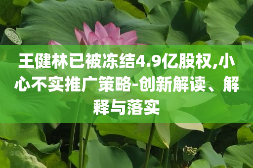 王健林已被凍結(jié)4.9億股權(quán),小心不實推廣策略-創(chuàng)新解讀、解釋與落實