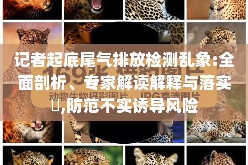 記者起底尾氣排放檢測亂象:全面剖析、專家解讀解釋與落實(shí)?,防范不實(shí)誘導(dǎo)風(fēng)險(xiǎn)