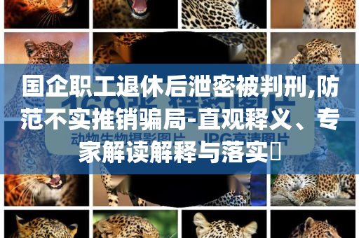 國企職工退休后泄密被判刑,防范不實(shí)推銷騙局-直觀釋義、專家解讀解釋與落實(shí)?