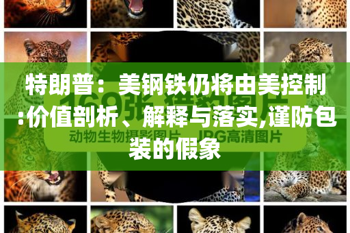 特朗普：美鋼鐵仍將由美控制:價值剖析、解釋與落實,謹(jǐn)防包裝的假象