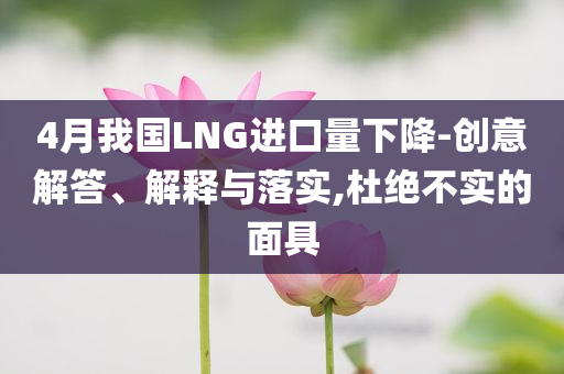 4月我國(guó)LNG進(jìn)口量下降-創(chuàng)意解答、解釋與落實(shí),杜絕不實(shí)的面具