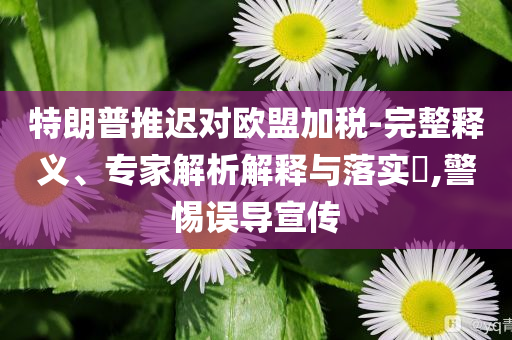 特朗普推遲對歐盟加稅-完整釋義、專家解析解釋與落實?,警惕誤導(dǎo)宣傳