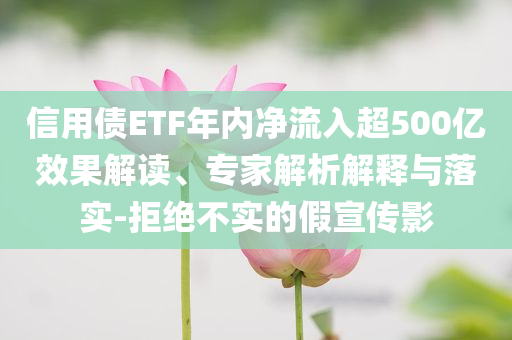 信用債ETF年內(nèi)凈流入超500億效果解讀、專家解析解釋與落實-拒絕不實的假宣傳影
