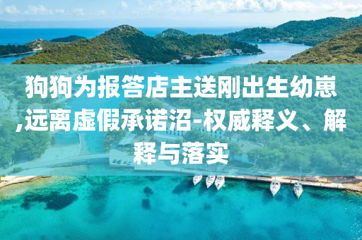 狗狗為報答店主送剛出生幼崽,遠離虛假承諾沼-權(quán)威釋義、解釋與落實