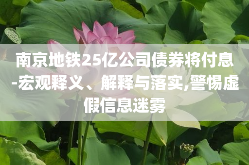 南京地鐵25億公司債券將付息-宏觀釋義、解釋與落實(shí),警惕虛假信息迷霧