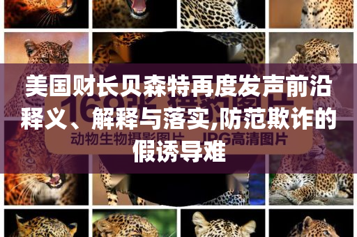 美國(guó)財(cái)長(zhǎng)貝森特再度發(fā)聲前沿釋義、解釋與落實(shí),防范欺詐的假誘導(dǎo)難