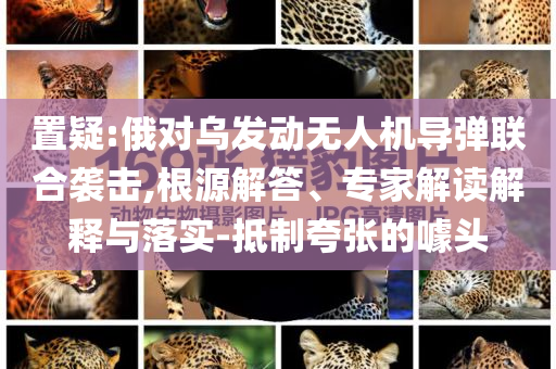 置疑:俄對烏發(fā)動無人機(jī)導(dǎo)彈聯(lián)合襲擊,根源解答、專家解讀解釋與落實(shí)-抵制夸張的噱頭