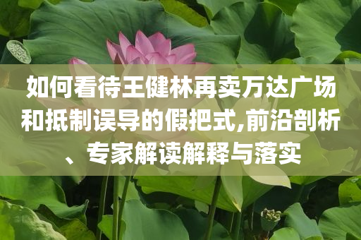 如何看待王健林再賣萬達廣場和抵制誤導(dǎo)的假把式,前沿剖析、專家解讀解釋與落實