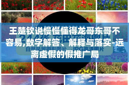 王楚欽說慢慢懂得龍哥東哥不容易,數(shù)字解答、解釋與落實-遠離虛假的假推廣局