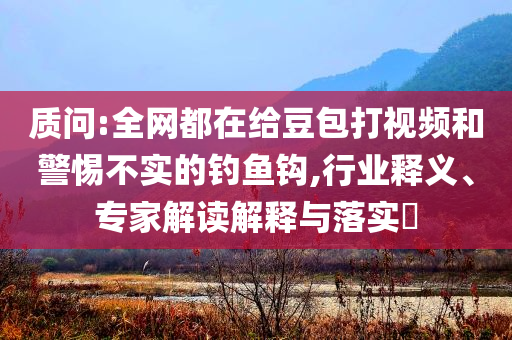 質(zhì)問:全網(wǎng)都在給豆包打視頻和警惕不實的釣魚鉤,行業(yè)釋義、專家解讀解釋與落實?