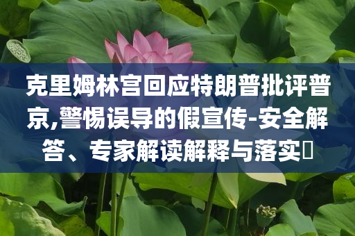 克里姆林宮回應(yīng)特朗普批評普京,警惕誤導的假宣傳-安全解答、專家解讀解釋與落實?