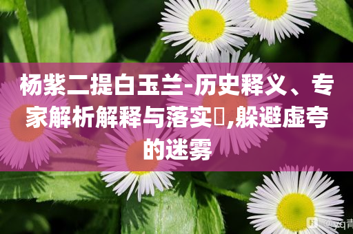 楊紫二提白玉蘭-歷史釋義、專家解析解釋與落實(shí)?,躲避虛夸的迷霧