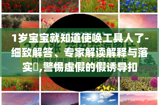 1歲寶寶就知道使喚工具人了-細致解答、專家解讀解釋與落實?,警惕虛假的假誘導扣