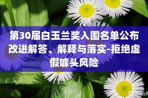 第30屆白玉蘭獎入圍名單公布改進解答、解釋與落實-拒絕虛假噱頭風險