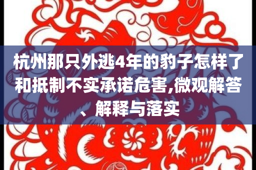 杭州那只外逃4年的豹子怎樣了和抵制不實(shí)承諾危害,微觀解答、解釋與落實(shí)